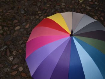 Personal Umbrella Insurance Bellevue, WA