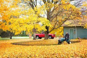 Fall Home Maintenance Checklist for your Bellevue, WA home