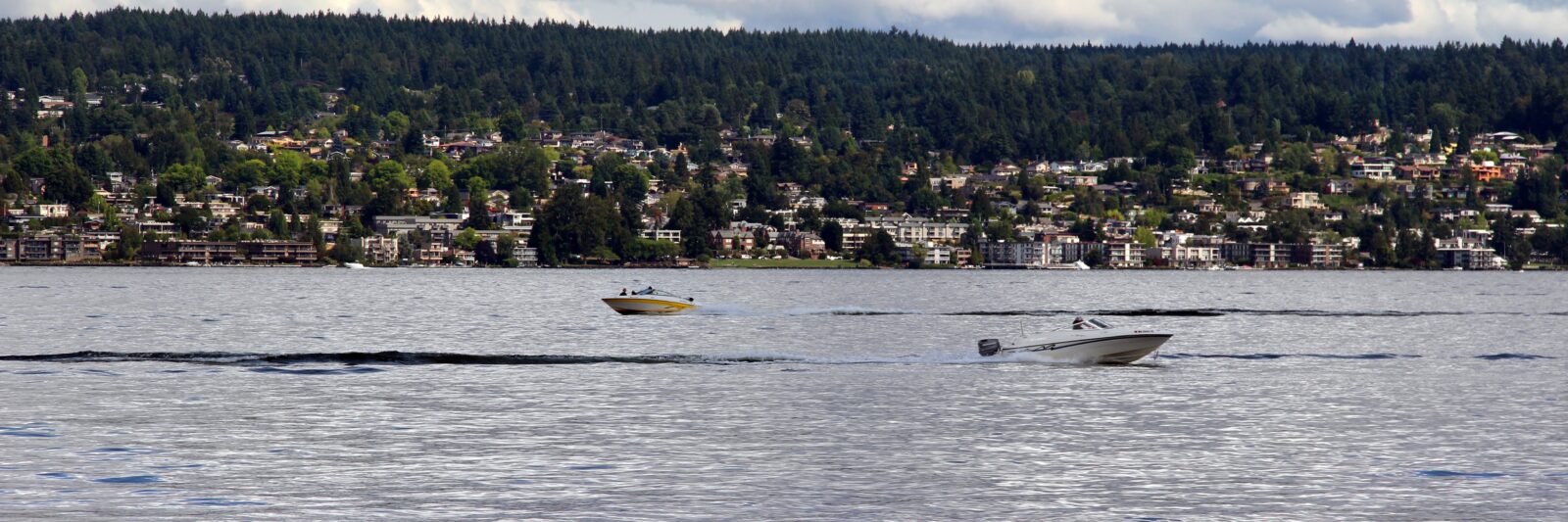 Bellevue, WA Insurance Agency