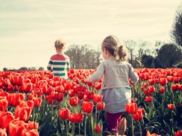 Spring Activities to Consider in Bellevue, WA