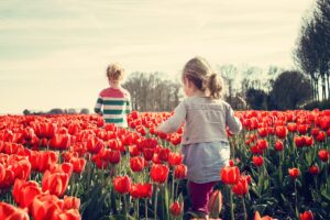 Spring Activities to Consider in Bellevue, WA