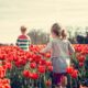 Spring Activities to Consider in Bellevue, WA