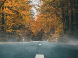 Fall and Winter Tips for Preparing Your Vehicle in Bellevue, WA