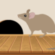How to prevent rodent damage in your Bellevue, WA home